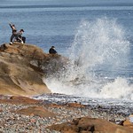 Local kids braving the big waves 1