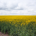 Looking up tp the sky and searchin' beneath the ground