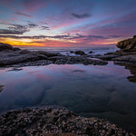 Thompson's Bay 6 May 2017-4