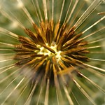 View into the center