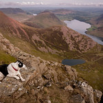 20/52 Dog with a View