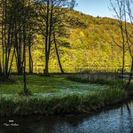 Rendez-vous au paradis !