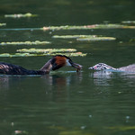 Lunch is being served
