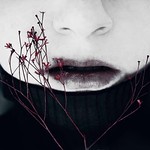 Silent All These Years