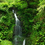 Hollow Brook Falls, Exmoor