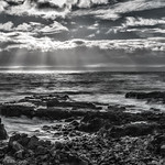 The Aftermath DSC_1703