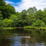 Happy summer day`s !