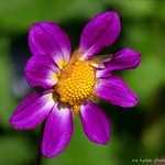 Become a possibilitarian. No matter how dark things seem to be or actually are, raise your sights....