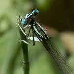 S&oacute;lo comprendiendo mi locura...entender&aacute;s mi pasi&oacute;n.