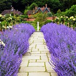 Chartwell kitchen garden