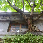 Mother Nature always wins