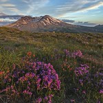 Mount St Helens Alpenglow