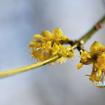 💧 A drop of kindness... 💧