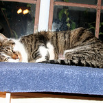 Hey...I don't feel so good.