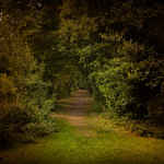 le petit sentier , the small path