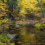 Enchanted Woods 2 (Waterford, NB, Canada)