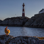 The lighthouse keeper.