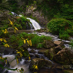 Whiteoak Falls - western North Carolina