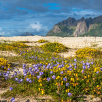 Summer Memories from Hovden in Vester&aring;len