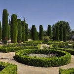 real alcazar de cordoba-spain