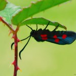 Parece que va a llover...