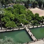 real alcazar de c&oacute;rdoba-spain