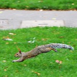 That's enough I'm off