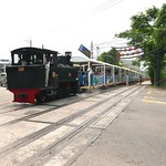 The sightseeing train is coming