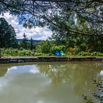 Practice Contentment