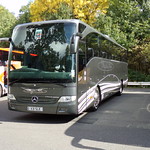 Mystic Isle - X31 SLE