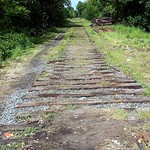 the tracks
