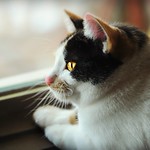 ~Say a prayer for Kali....