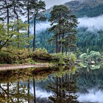 Jubilee Point, Loch Eck