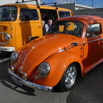 vw beetle