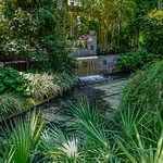 Longwood Gardens / Conservatory / Kennett Square, Pennsylvania