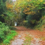 in the paths of Mount Pelion....