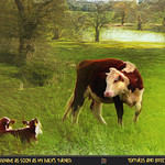 Now you two, don't misbehave as soon as my back's turned.