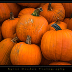 It's The Great Pumpkin(s)