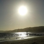 19. HALCYON SUMMER: "Moon" Over Water