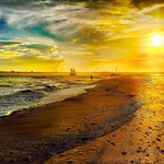 The Golden Road to Unlimited Devotion