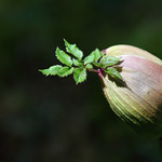 Les lignes de la vie