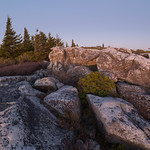 A Dolly Sods Ending