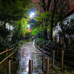 Come through the light