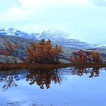 Early morning silence