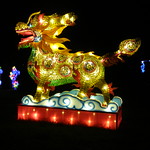 China Lights 16