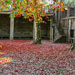 Oto&ntilde;o en estado puro