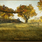 Beautiful TImes Gone By...The Mill