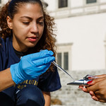 Sea Level Solutions Day 2017