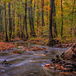 Herbst an der Prie&szlig;nitz nahe Dresden - Autumn at the river Priessnitz near Dresden