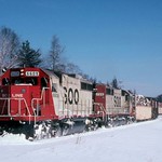 Wading into Gilchrist.